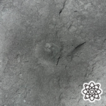 Charcoal Oak - Industrial Equipment by Blast-Tec